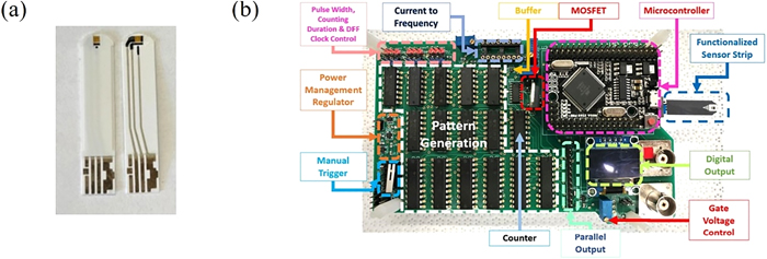Low-Cost Saliva-based Biosensor For Cancer Detection