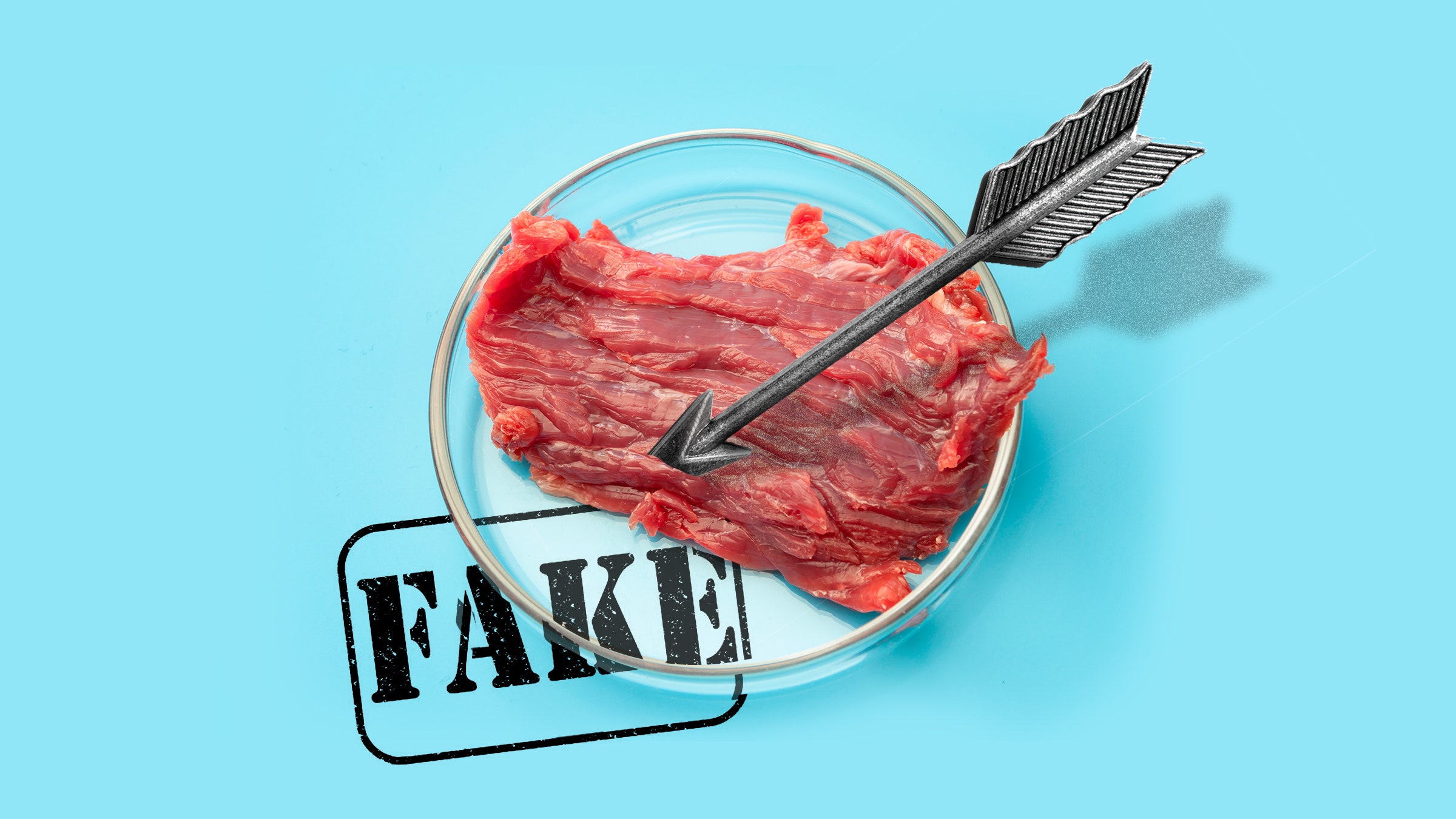States Are Lining Up to Outlaw Lab-Grown Meat