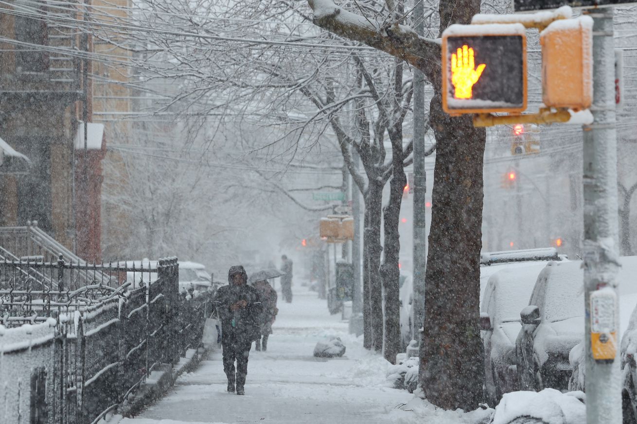 A remote school outage might give NYC kids their snow day after all