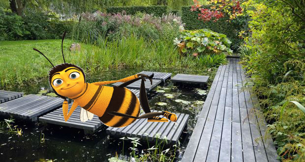 Pollinating drone bees can’t replace honey bees, ecologists calculate