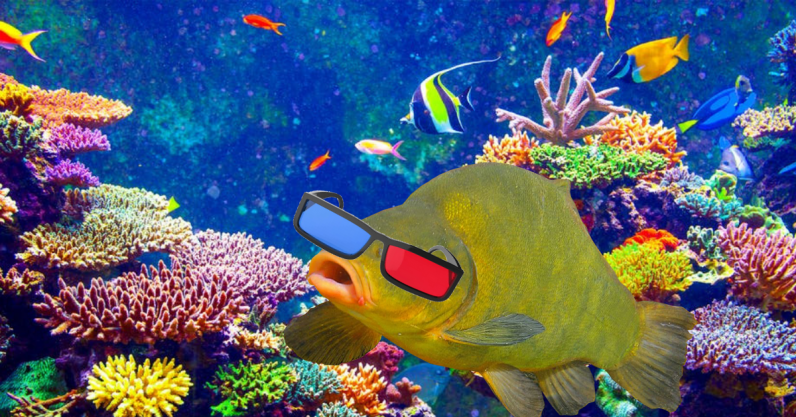 3D printing coral reefs can create new habitats — but it doesn’t tackle human destruction