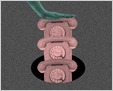 Three recent books argue that big tech became powerful not because of "software disruption" but by ducking regulation, squeezing workers, strangling competitors (Nitasha Tiku/Wired)