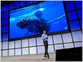 Google debuts $25M AI Impact Challenge, a contest to support AI for good projects, similar to other tech giants' efforts, like Microsoft's $50M AI for Earth (Khari Johnson/VentureBeat)