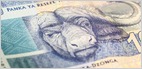 South Africa-based Adhara, a startup that builds private blockchains for banks using privacy centric Ethereum fork Quorum, raises $15M from Consensys (Ian Allison/CoinDesk)