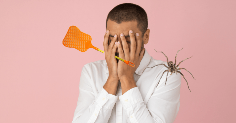 Science says you shouldn’t kill spiders in your home