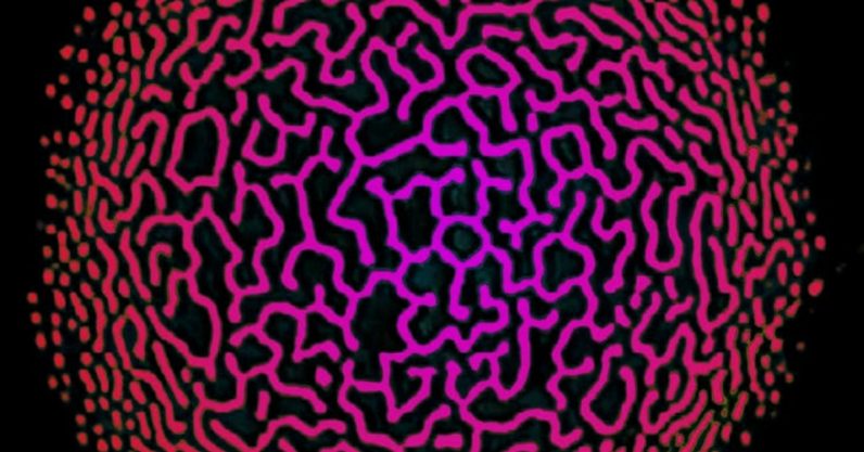 This trippy ’80s video effect might help explain consciousness