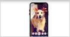 Snapchat adds lenses specifically for dogs, after launching lenses for cats last month, available now (Julia Alexander/The Verge)