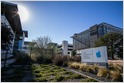 Sources: 2013 "Assembled in USA" Mac Pro was delayed due to custom screw shortage in US, illustrating why Apple is unlikely to move manufacturing out of China (Jack Nicas/New York Times)