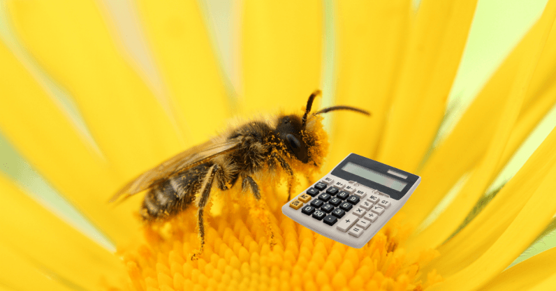 New research shows bees can do math