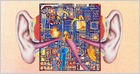 The rise of voice computing is transforming web search by shifting the objective from providing links to providing a single correct response to any query (James Vlahos/Wired)