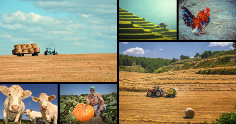 Why farmers hold the answer to making the personal data economy work