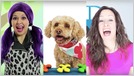 Interviews detail the ongoing battle on YouTube between children-focused channels making animated videos and those featuring humans (Caroline Haskins/Motherboard)
