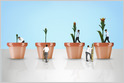An analysis of Crunchbase data finds US-based VCs raised more sub-$100M venture funds in 2018 than in any prior year (Jason Rowley/TechCrunch)