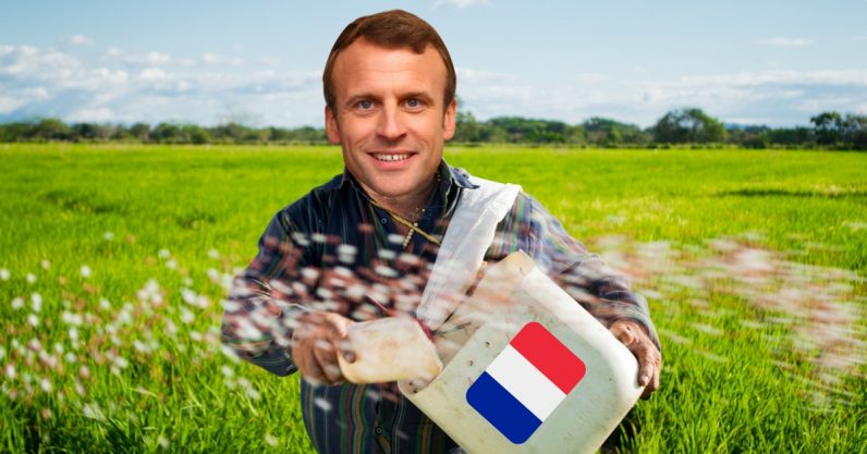 Alors Monsieur Macron, stop trying to make la chaîne de blocs happen