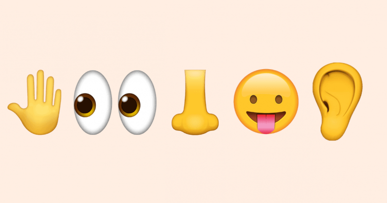 Scientists are beefing over which one of our senses is most important