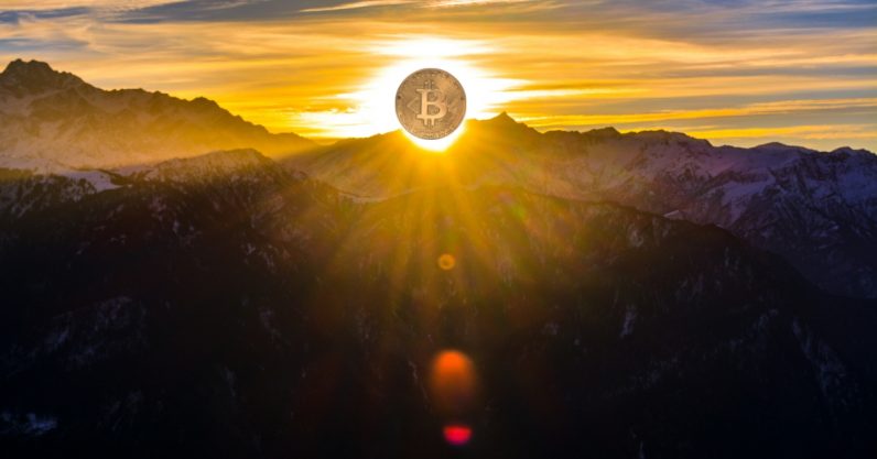 For better or worse, we’re still obsessed with Bitcoin’s price