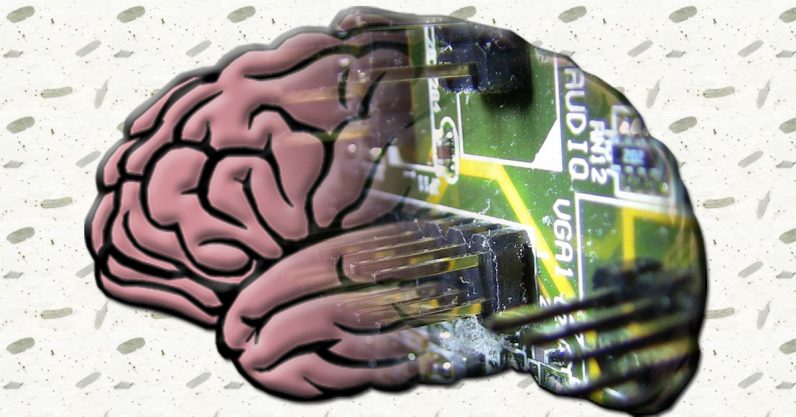 Researchers developed algorithms that mimic the human brain (and the results don’t suck)