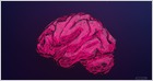 Researchers: 33 of 36 apps for depression or smoking cessation shared data with third-parties and 2 apps shared very sensitive info, like health diary entries (Rachel Becker/The Verge)