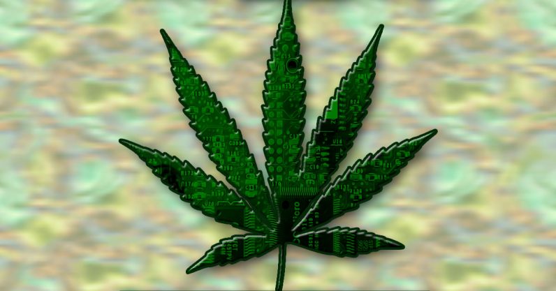 Happy 4/20: Here’s some science to shut up the cannabis haters