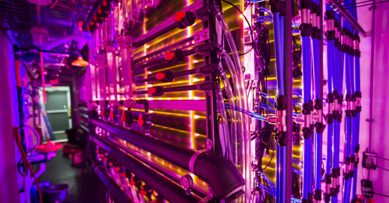 Microalgae could be the future of sustainable farming