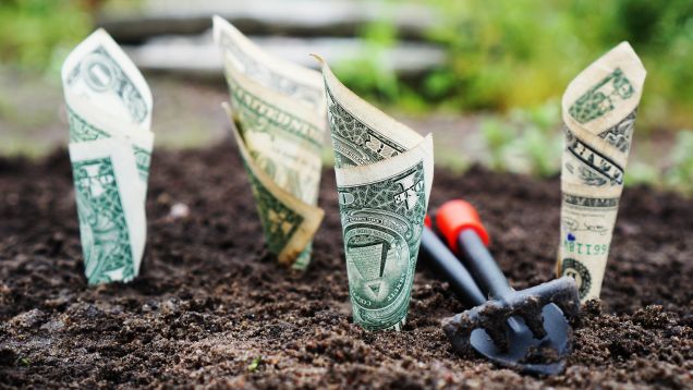 Should You Invest in CDs Before Interest Rates Peak?