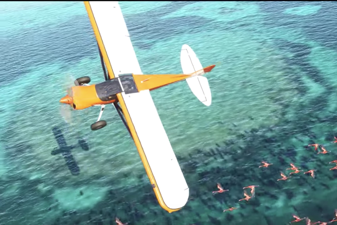 A new Microsoft Flight Simulator is on the way