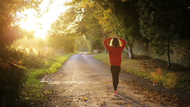 Is It Okay to Run Every Day?