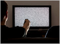 MobiTV, which lets pay-TV companies provide streaming video services without a set-top box, raises $50M, bringing its total raised to $213.8M, per Crunchbase (Ingrid Lunden/TechCrunch)