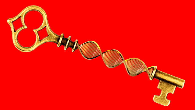 Before You Take a Mail-In DNA Test, Brace Yourself for Family Secrets