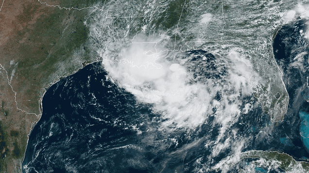 Your Digital Toolkit for the Atlantic Hurricane Season