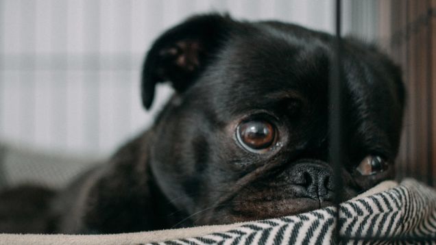 What Anxiety Does to Your Brain and What You Can Do About It