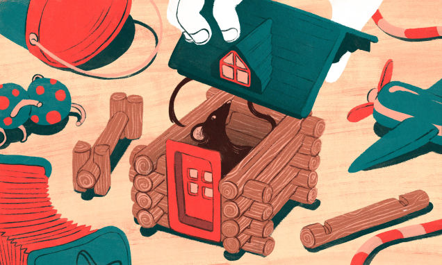 What to Do When Mice Have Invaded Your Home