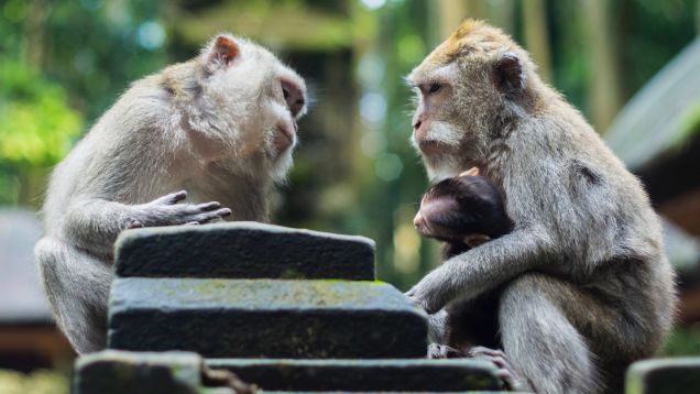 The Best Ways to Improve Your Communication Skills