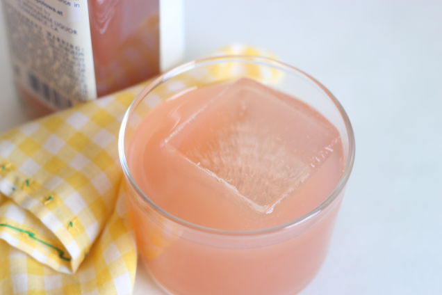 Rhubarb Vodka Is the Best Thing You Can Make With Your Blender