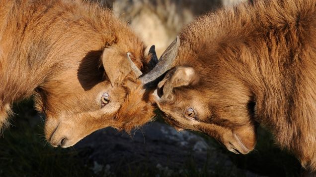 What to Say Instead of 'You Don't Understand'