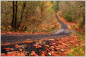 Adobe says consumers in the US spent $5.1B buying goods online on Thanksgiving, up 21.5% YoY, but falling short of Adobe's original prediction of $6B (Ingrid Lunden/TechCrunch)