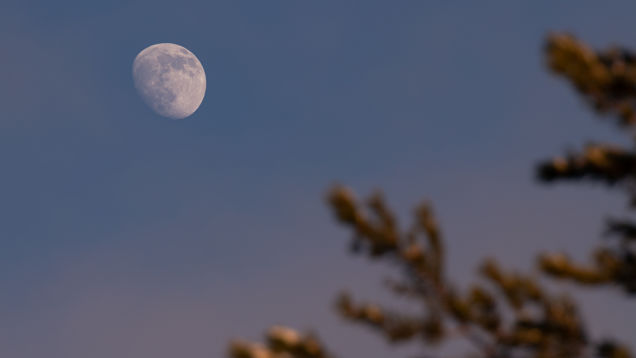 How to See the Earth's Shadow After Sunset This Evening