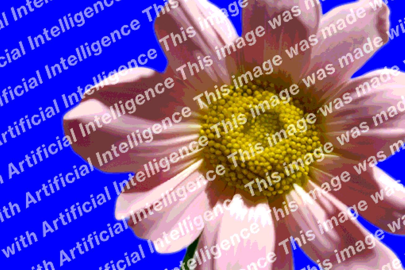 Watermarking the future