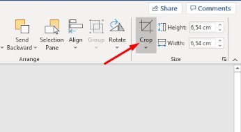 How to Crop a Picture into a Circle on PC (5 Methods)