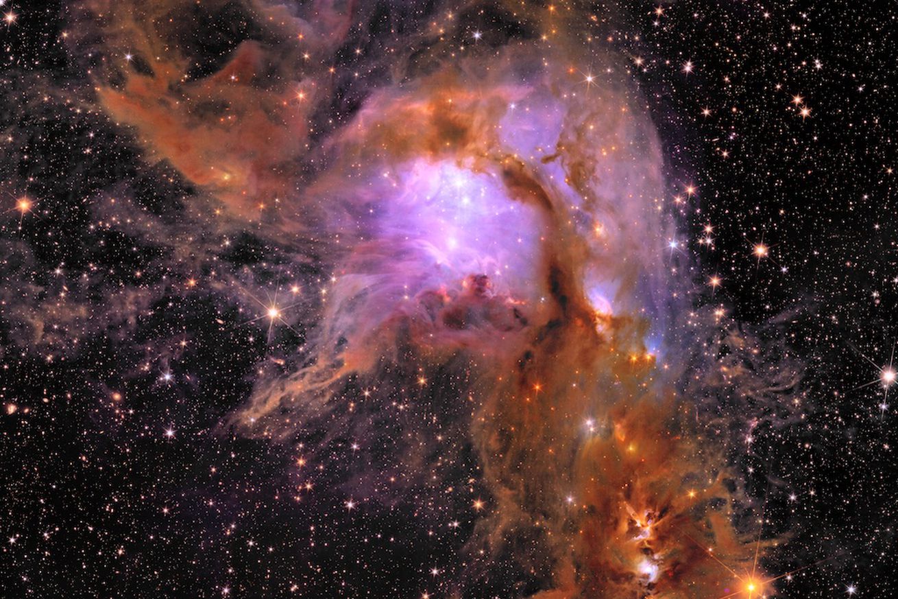 Euclid space telescope captures tens of thousands of glittering galaxies