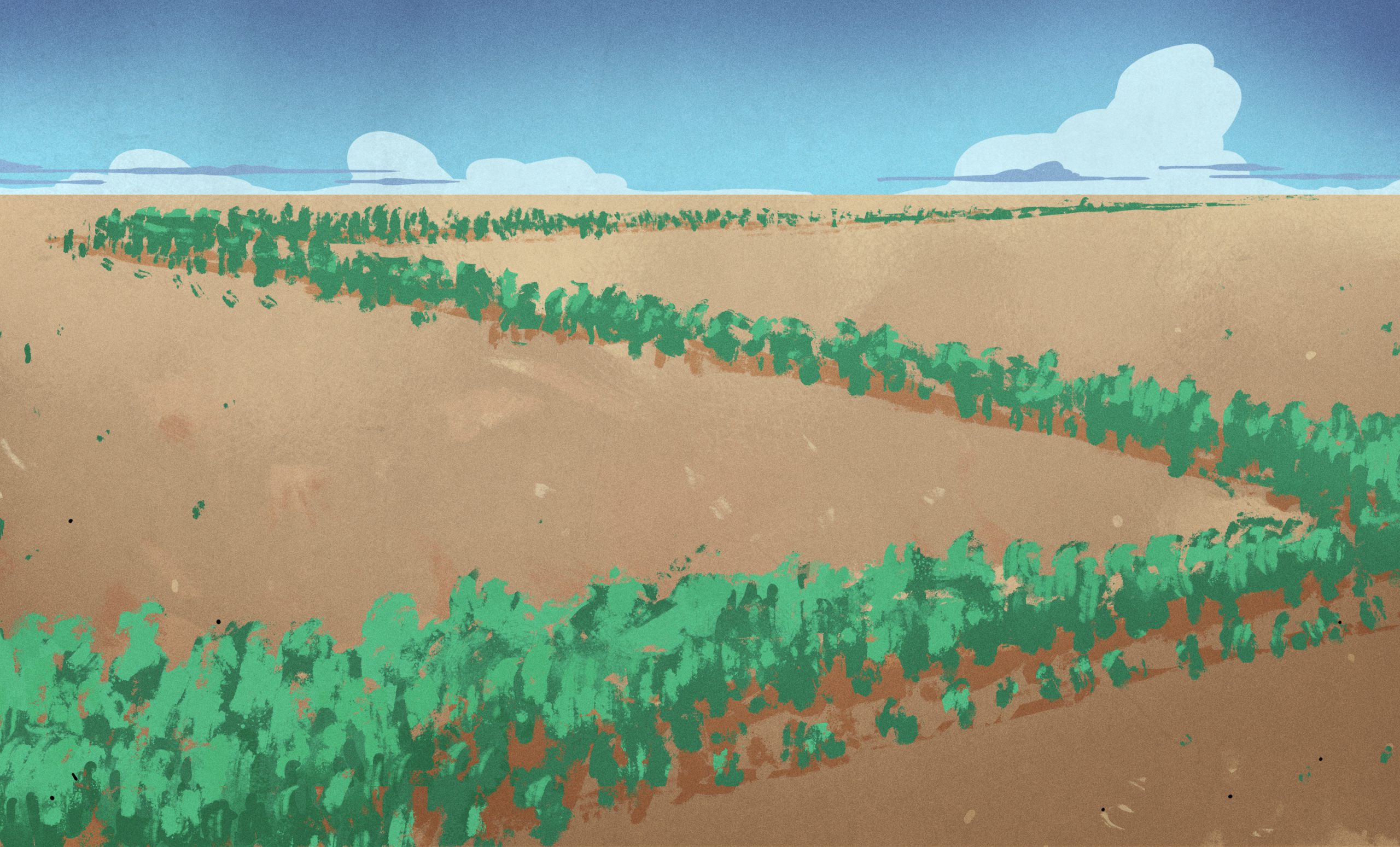 The Great Green Wall: Africa’s Ambitious Attempt To Fight Desertification