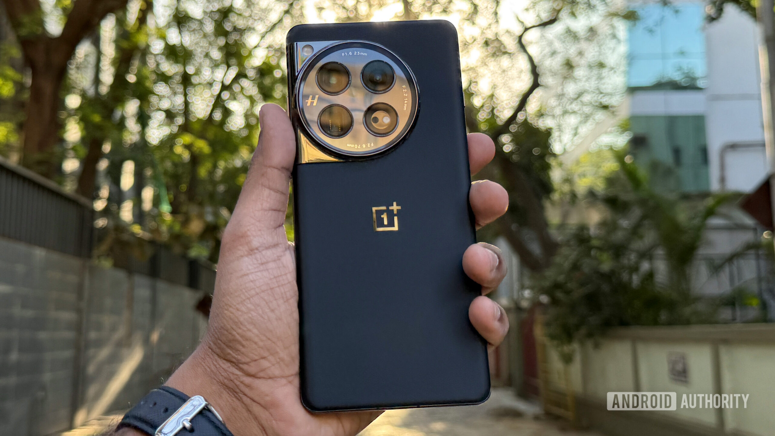 Download: OnePlus 12 and OnePlus 11 get new update with Photo Collages and more