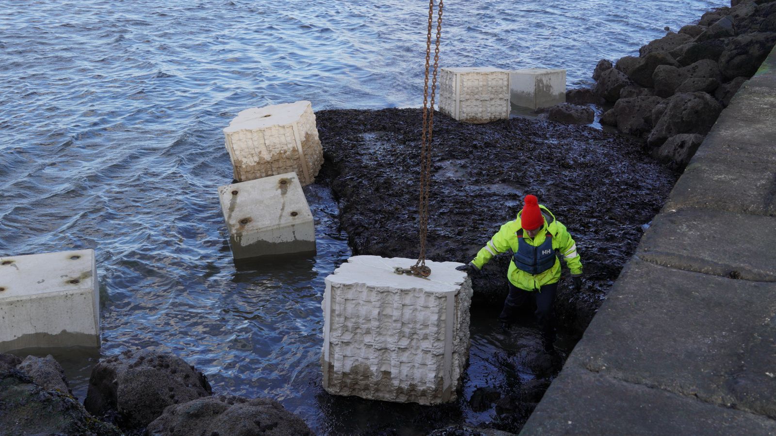 How 3D-printed units can boost marine life along Dublin Port