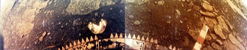 Complex Organic Chemistry In Sulfuric Acid and Life on Venus