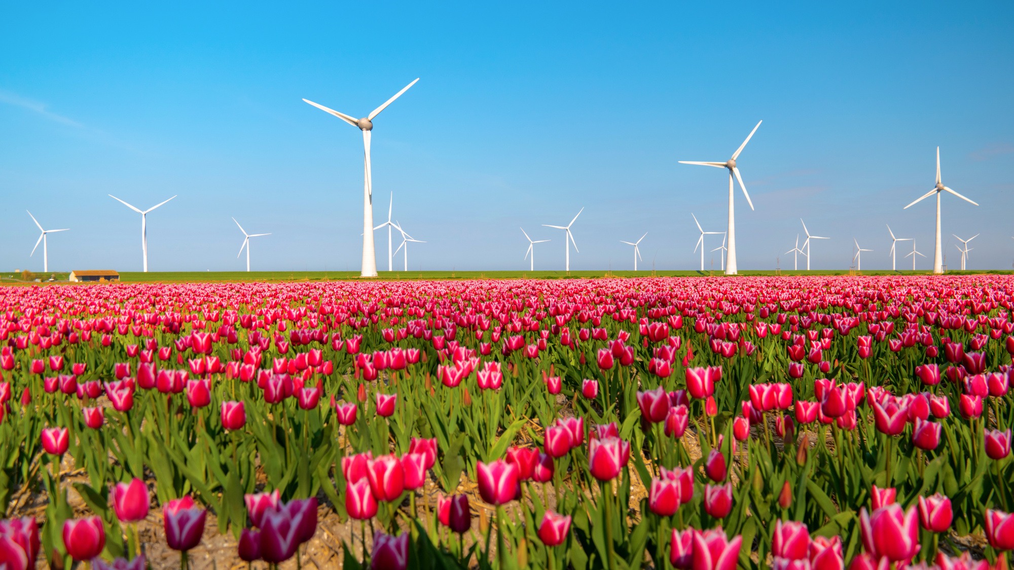 AI and cleantech remain resilient in European valuations