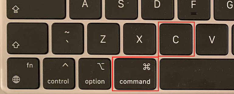 How to copy and paste on a MacBook or Mac