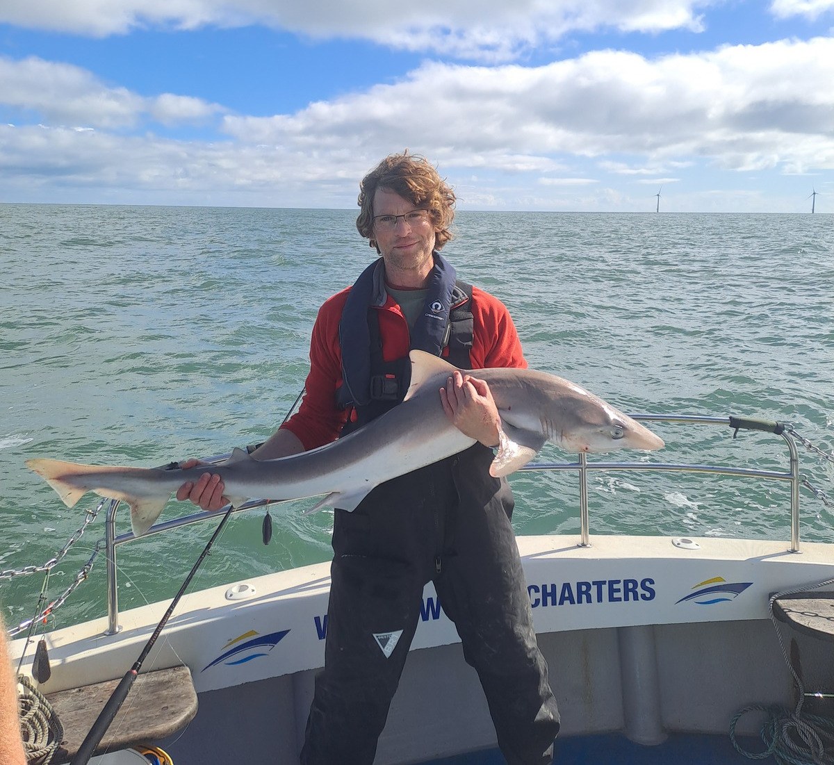 A man, a shark and a wind farm: What’s the catch?