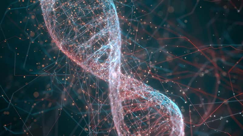 Nature vs Nurture in Beethoven’s Genome
