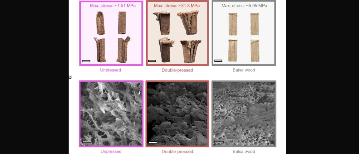 3D Printing Real Wood With Just Cellulose and Lignin
