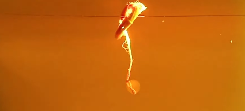 Möbius String Robot Goes Round and Round